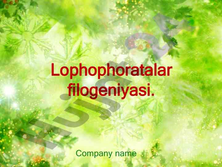Lophophoratalar filogeniyasi va mollyuskalar turi