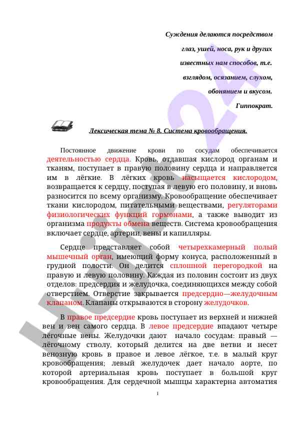 Система кровообращения и ее функции