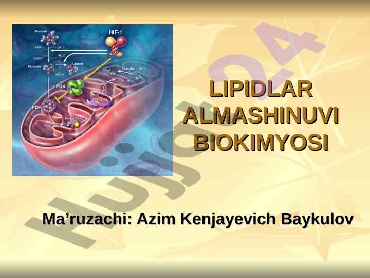 Lipidlar almashinuvi biokimyosi tushunchalari