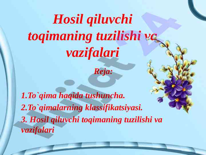 Hosil qiluvchi toqimaning tuzilishi va vazifalari