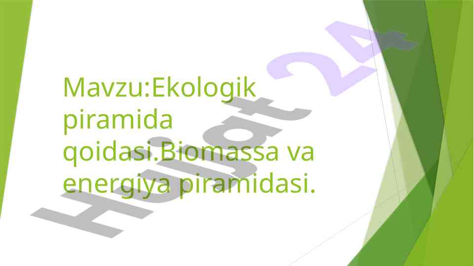Ekologik piramida qoidasi va biomassa energiyasi