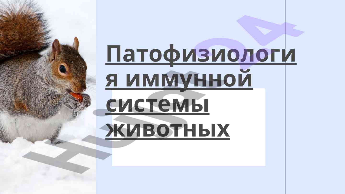 Patofiziologiya immunnoy sistemy zhivotnykh