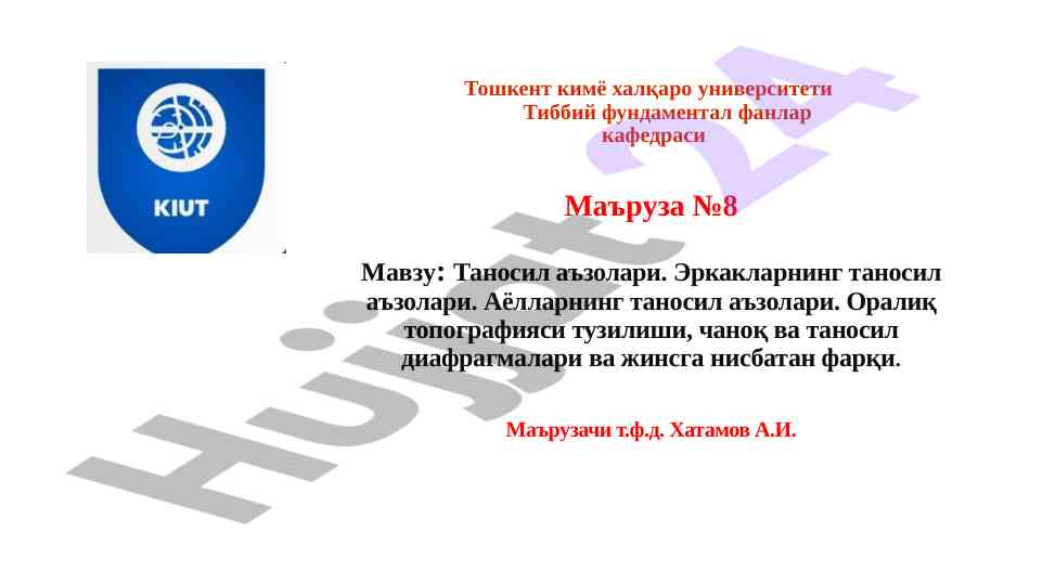 Таносил аъзолари еркаклар ва аёллар тўғрисида маъруза