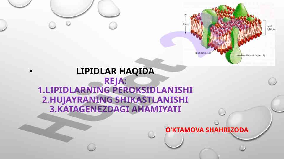 Lipidlarning peroksidlanishi va hujayra shikastlanishi