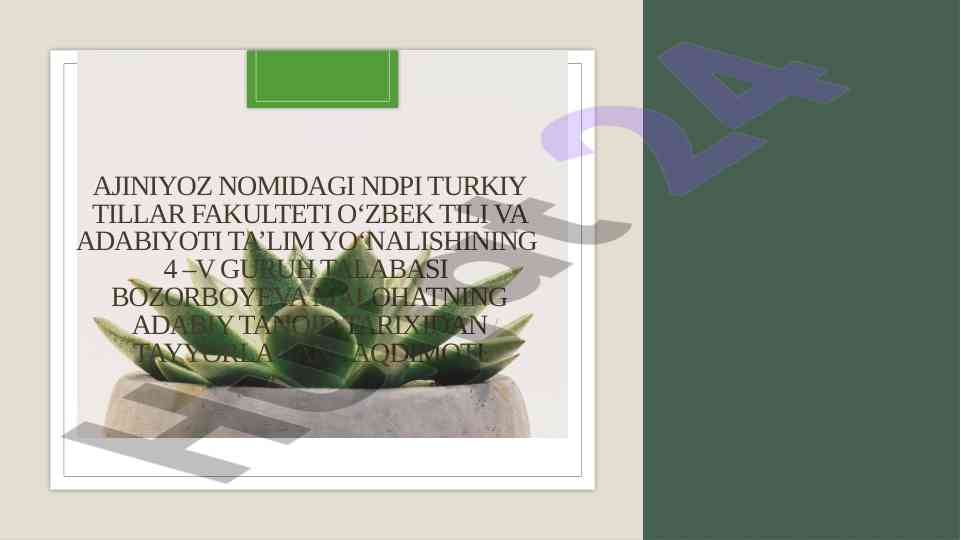 Adabiy tanqid tarixi taqdimoti reja