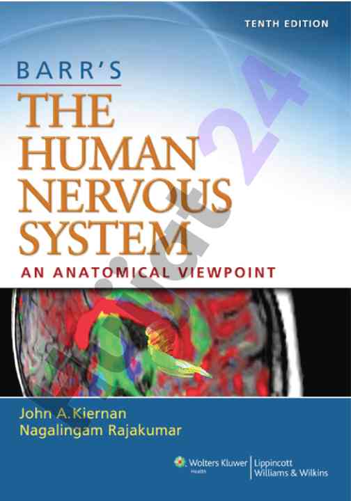 The human nervous system an anatomical viewpoint