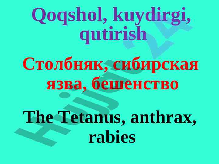 Qoqshol va uning patogenezi tahlili