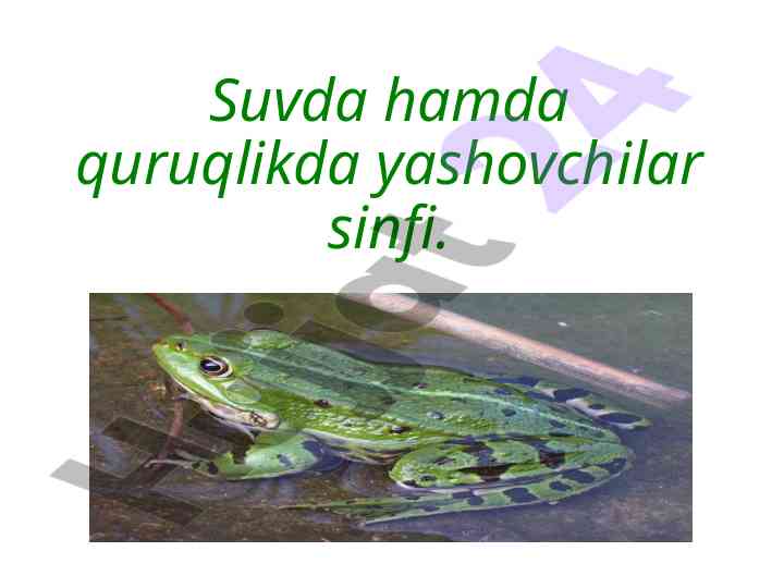 Suvda Va Quruqlikda Yashovchilar Sinfi
