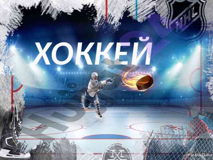Hokkey sport turi haqida asosiy ma'lumotlar