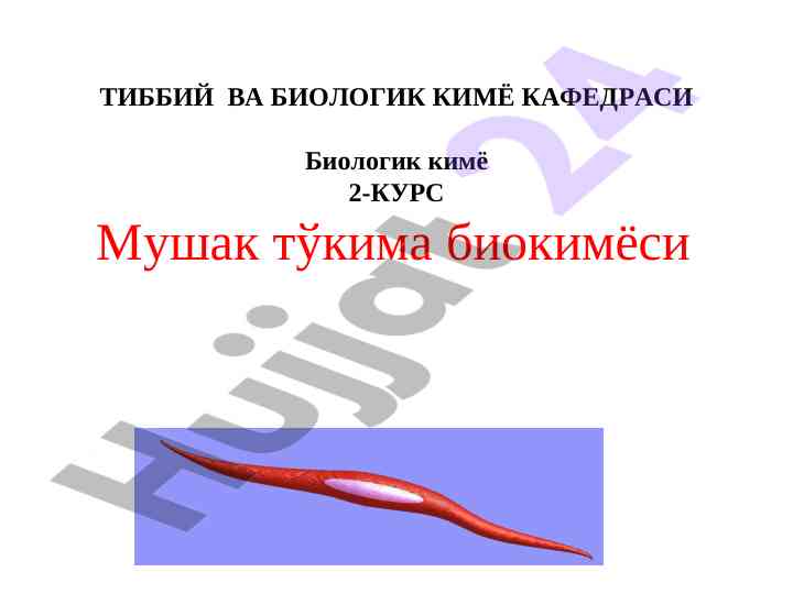 Biologik kimyo asoslari va mushak tўqimasi