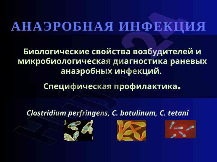 Biologik xususiyatlar va mikrobiologik diagnostika