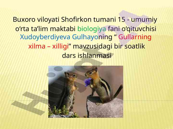 Gullarning xilma – xilligi dars ishlanmasi