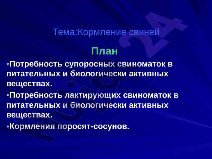 Кормление свиней: потребности и породы