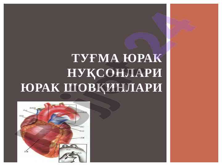 Туғма юрак нуқсонлари: шовқинлар ва диагностика