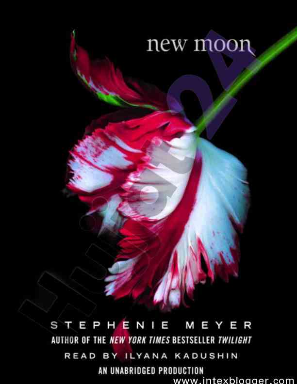 New moon novel analysis and summary