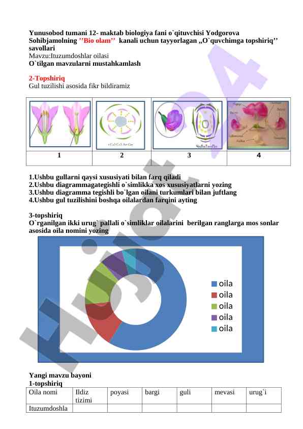 Ituzumdoshlar oilasi va gul tuzilishi savollari