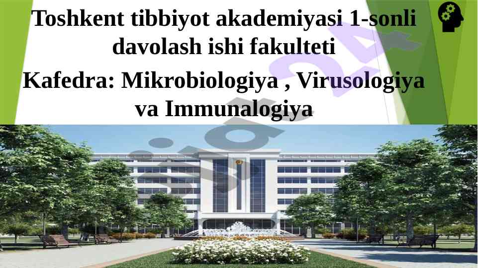 Ebola virusining kasallik patoginezi va tashxisi