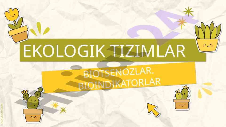 Ekologik tizimlar va biotsenozlar to'g'risida