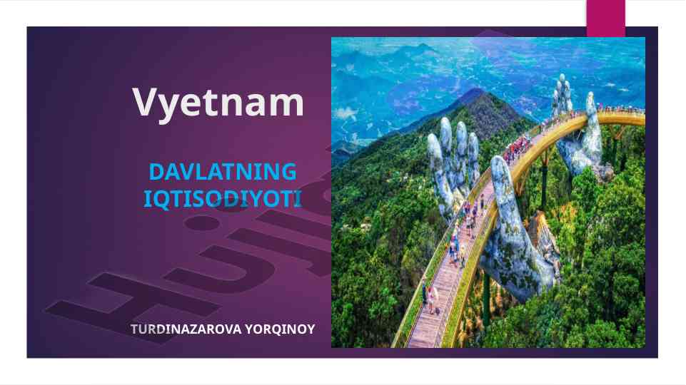 Vyetnam davlatining iqtisodiyoti va geografik joylashuvi