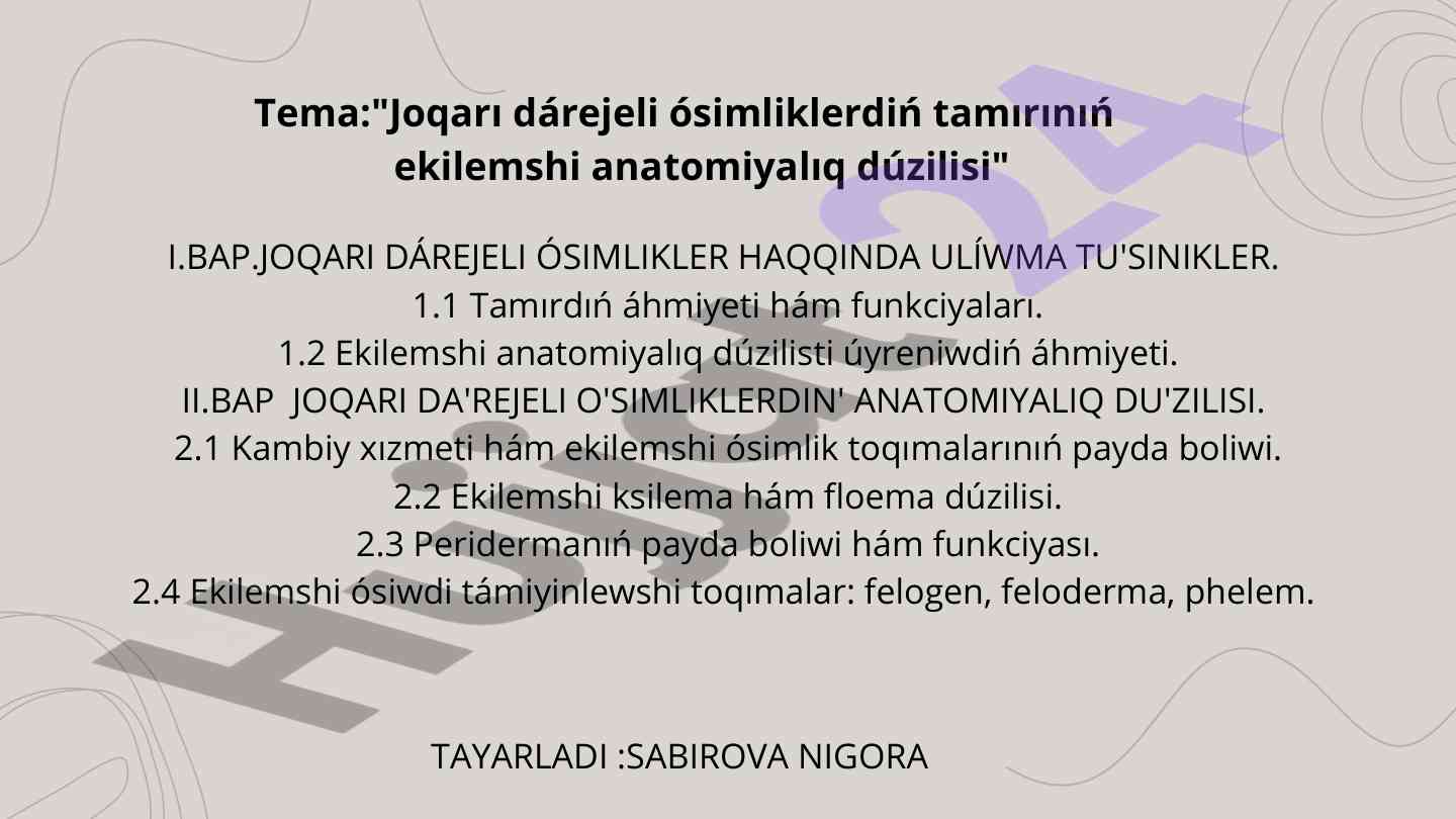 Joqarı dárejeli ósimliklerdiń tamırınıń ekilemshi anatomiyalıq dúzilisi
