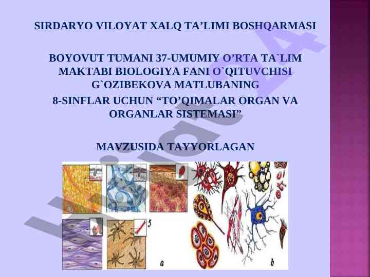 To’qimalar organ va organlar sistemasi dars ishlanmasi
