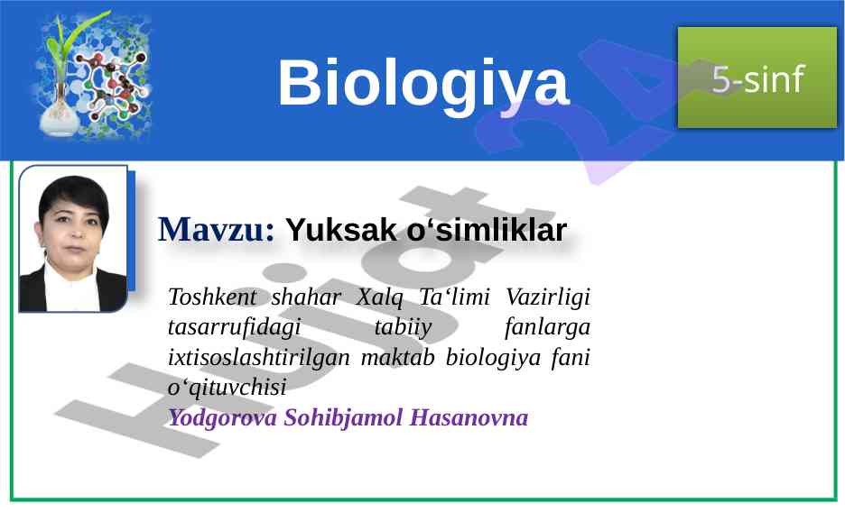 Yuksak o‘simliklar haqida asosiy ma'lumotlar