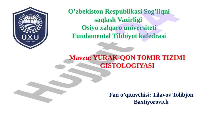 Yurak-qon tomir tizimi gistologiyasi tahlili