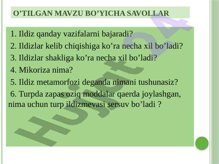 Ildiz va novda anatomik tuzilishi haqida savollar
