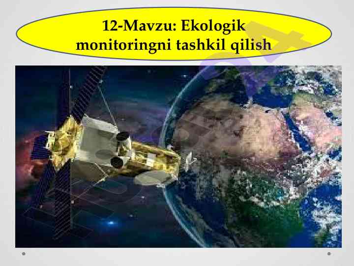 Ekologik monitoringni tashkil qilish tushunchalari