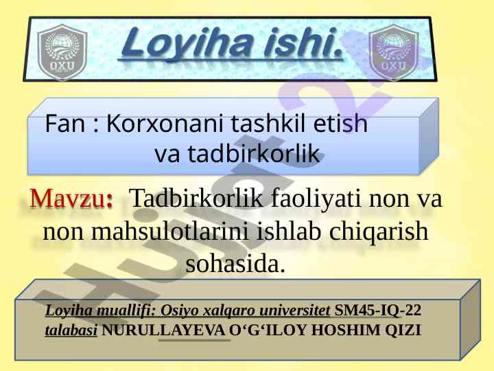 Tadbirkorlik faoliyati non mahsulotlari ishlab chiqarish