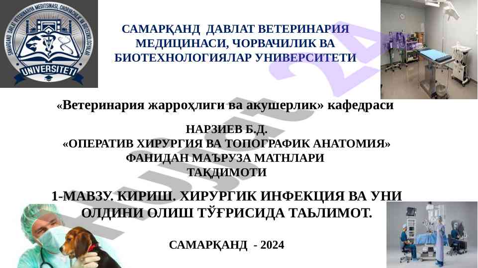 Operativ xirurgiya va topografik anatomiyadan ma'ruza