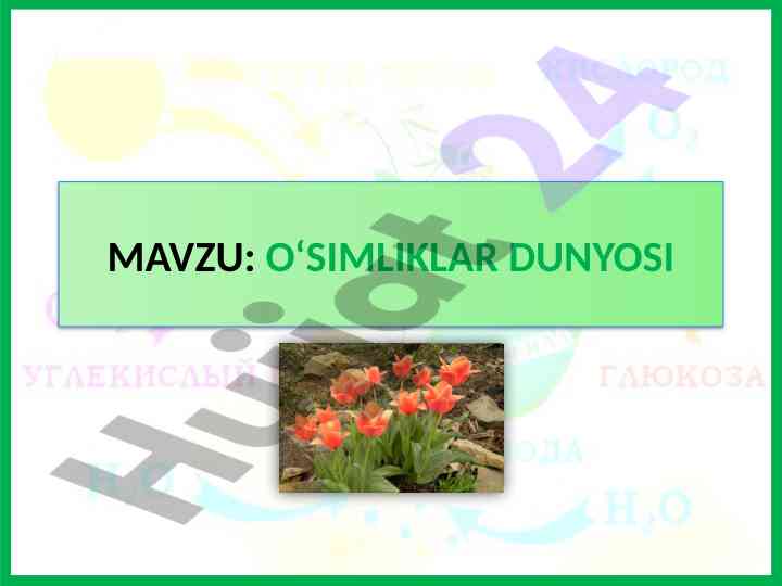 O‘simliklar tabiati va fotosintez jarayoni