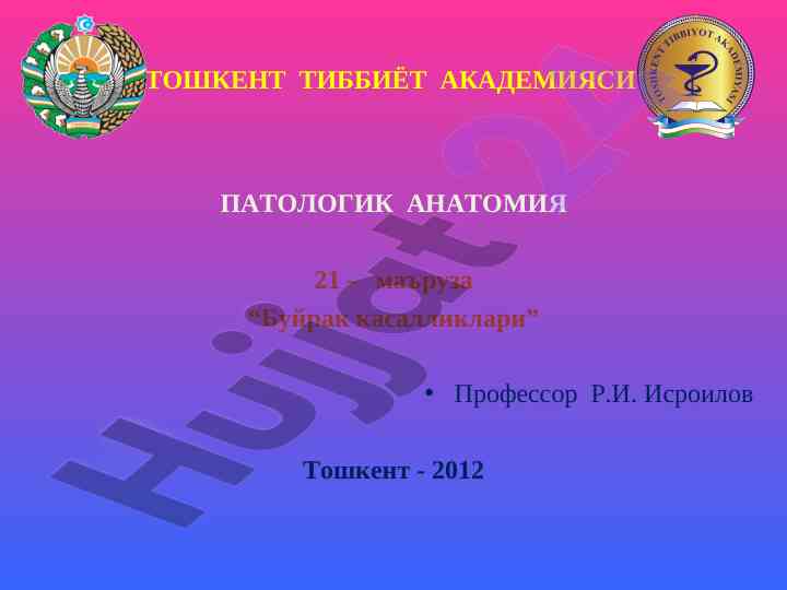 Буйрак касалликлари: асосий маърузалар ваҳолар