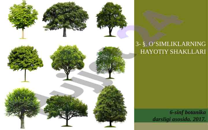 O‘simliklarning hayotiy shakllari 6-sinf darsligi