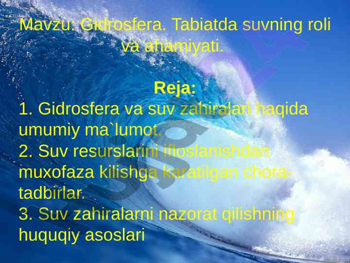 Gidrosferaning oziqlanishidagi suvning ahamiyati