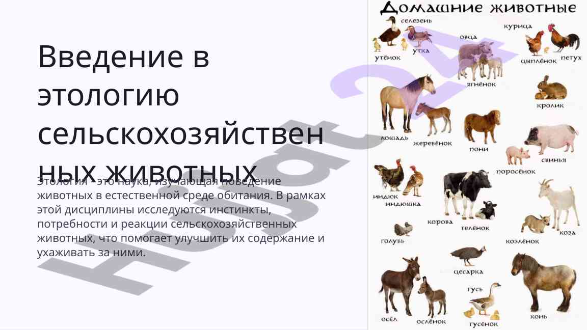 Введение в этологию сельскохозяйственных животных