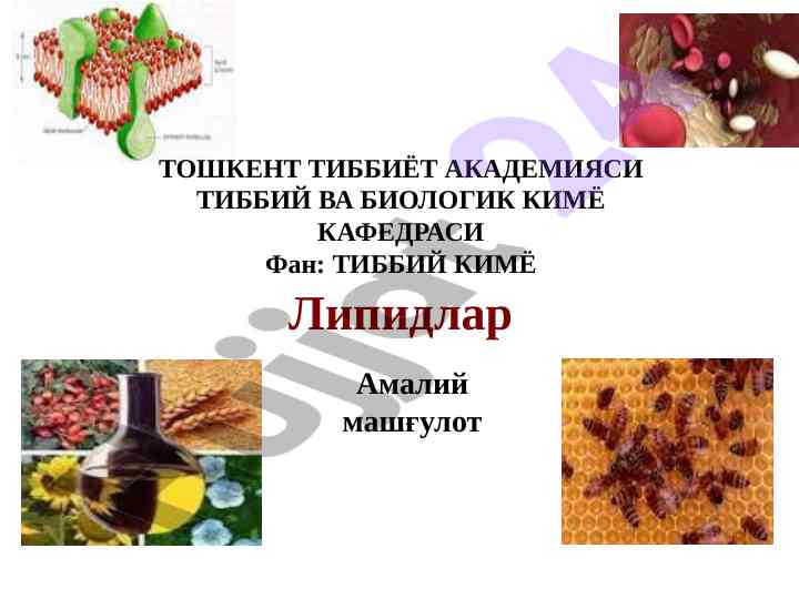 Lipidlar va ularning turlari bilan tanishing