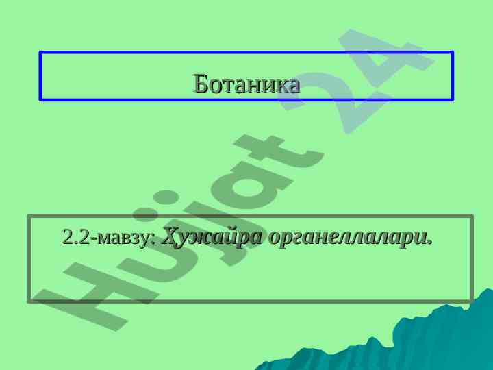 Hujayra organellalari va tuziilishi