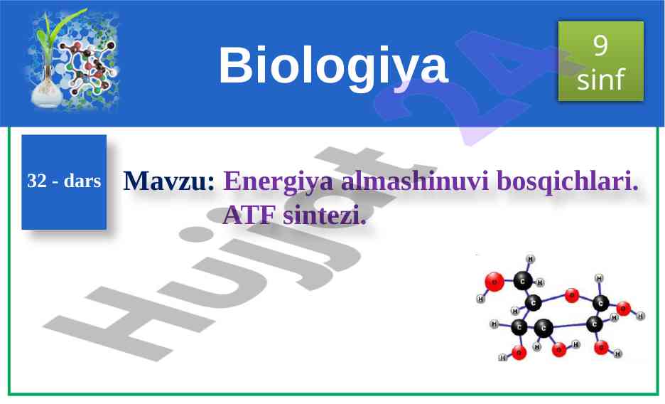 Energiya almashinuvi bosqichlari va atf sintezi