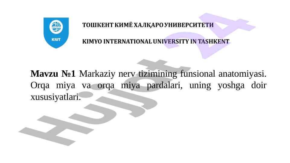 Markaziy nerv tizimining funsional anatomiyasi