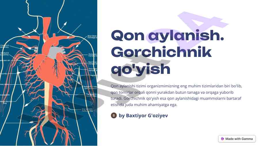 Qon aylanish tizimi va gorchichnik qo'yish ahmiyati