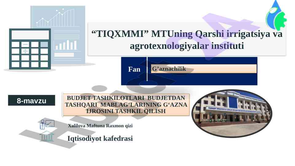 Budjet tashkilotlarining tashqi mablag‘lari