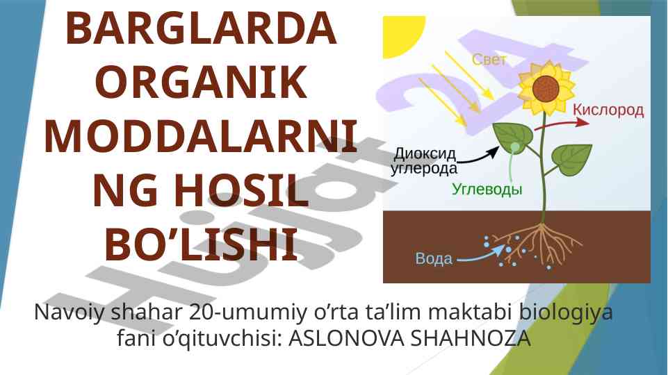 Organik moddalar hosil bo’lishi va fotosintez jarayoni