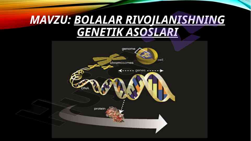 Bolalar rivojlanishining genetik asoslari