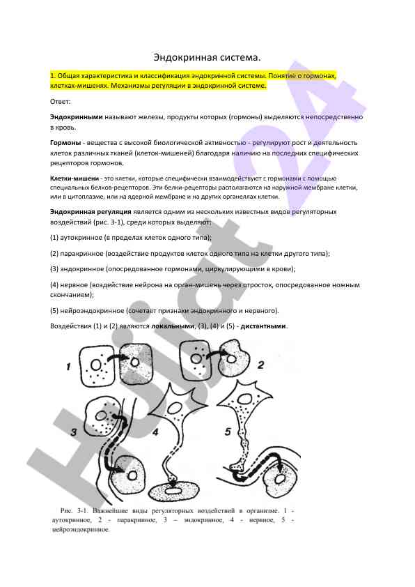 Эндокринная система общая характеристика и классификация