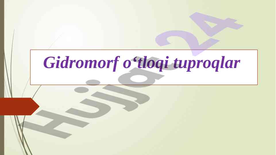 Gidromorf tuproqlar va ularning hosil bo'lishi