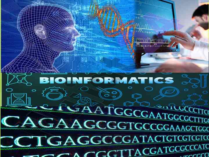 Bioinformatika faniga kirish va rivojlanish tarixi
