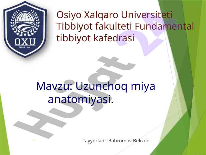 Uzunchoq miya anatomiyasi tahlili va rivojlanishi
