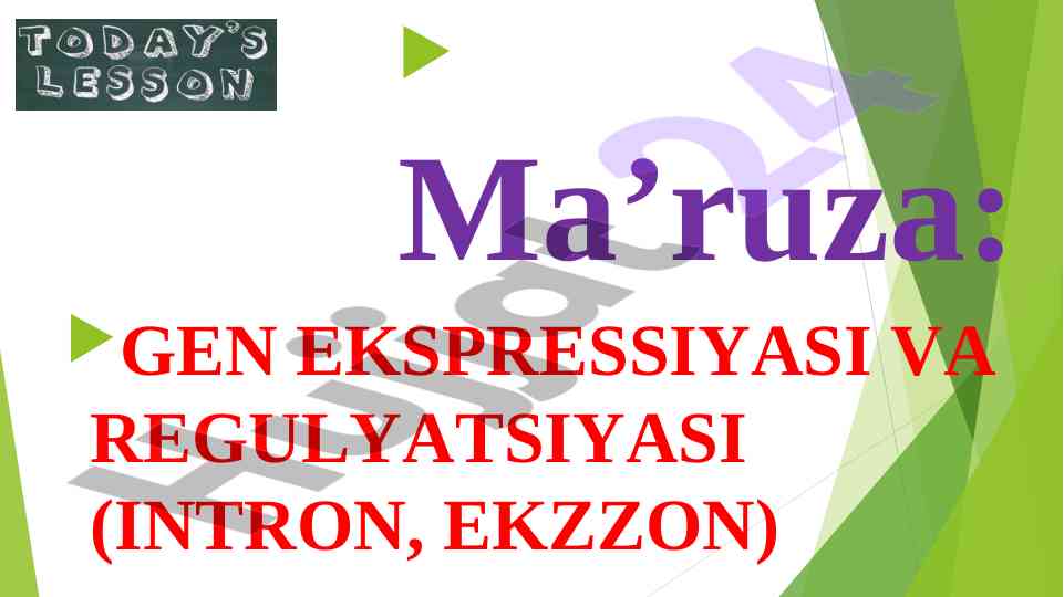 Gen ekspressiyasi va regulyatsiyasi jarayoni