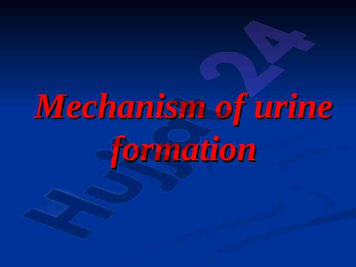 Urine formation mechanism in renal system